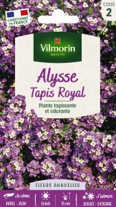 Alysse Tapis Royal